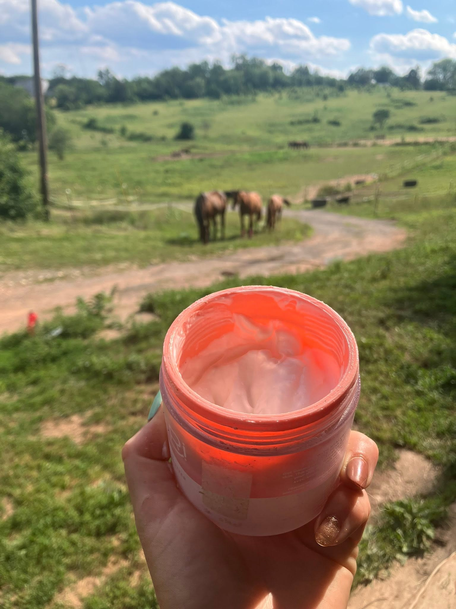 Tick Target Belly Balm with horses in the background